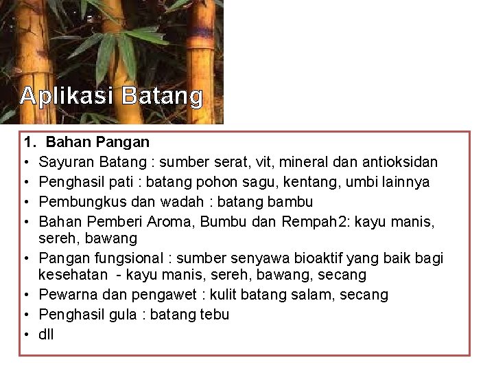 Aplikasi Batang 1. Bahan Pangan • Sayuran Batang : sumber serat, vit, mineral dan