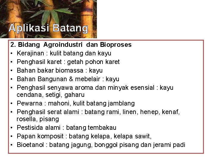 Aplikasi Batang 2. Bidang Agroindustri dan Bioproses • Kerajinan : kulit batang dan kayu