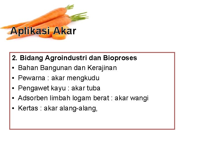 Aplikasi Akar 2. Bidang Agroindustri dan Bioproses • Bahan Bangunan dan Kerajinan • Pewarna