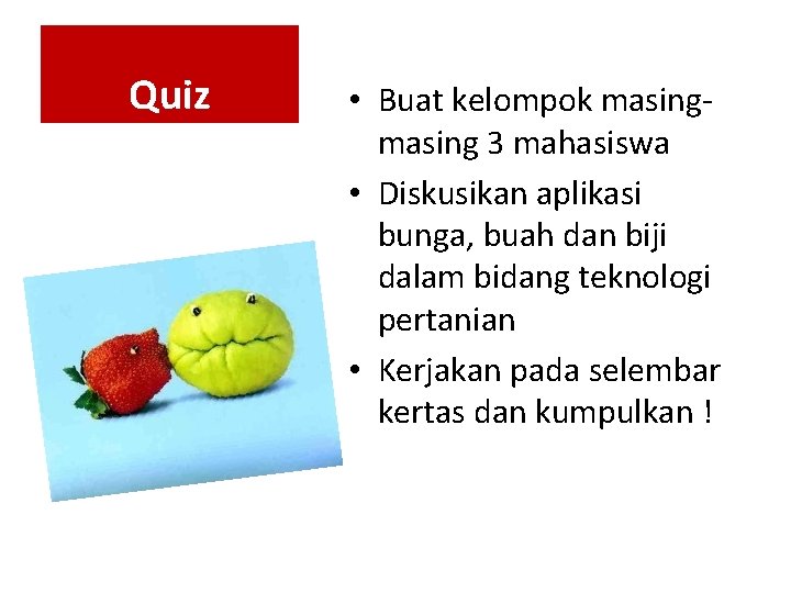 Quiz • Buat kelompok masing 3 mahasiswa • Diskusikan aplikasi bunga, buah dan biji