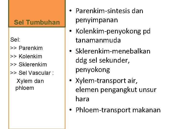 Sel Tumbuhan Sel: >> Parenkim >> Kolenkim >> Sklerenkim >> Sel Vascular : Xylem