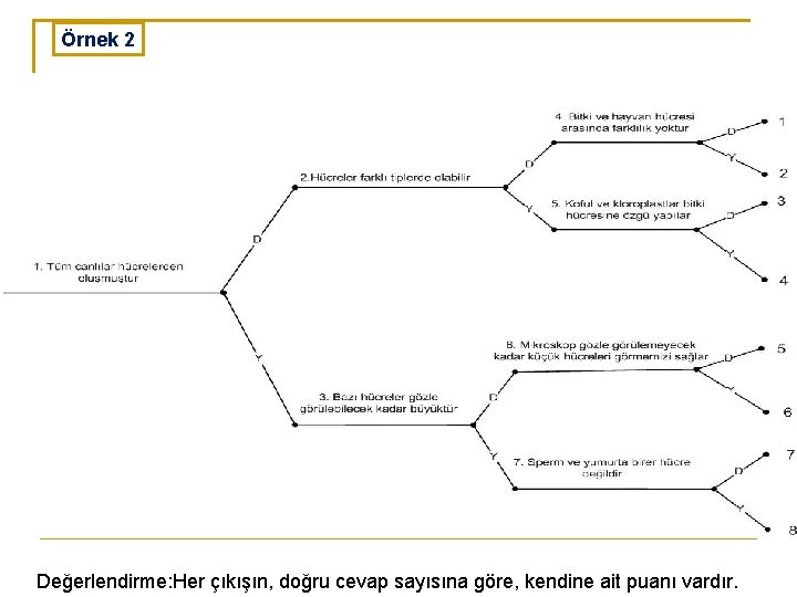 Örnek 2 Değerlendirme: Her çıkışın, doğru cevap sayısına göre, kendine ait puanı vardır. 