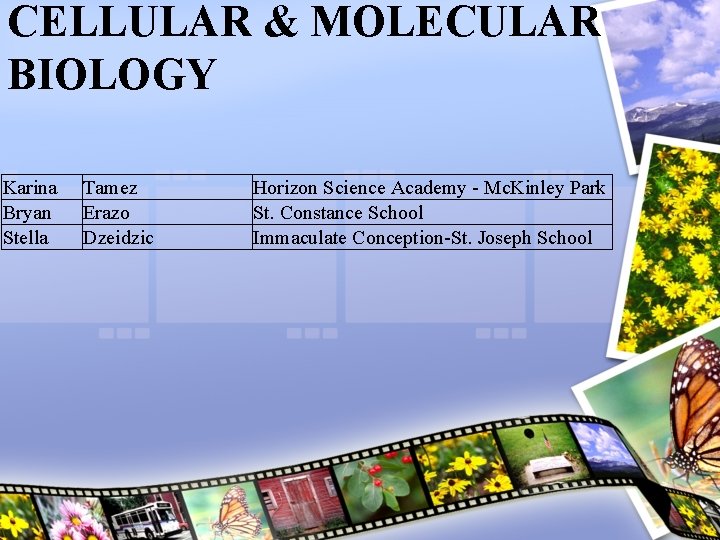 CELLULAR & MOLECULAR BIOLOGY Karina Bryan Stella Tamez Erazo Dzeidzic Horizon Science Academy -