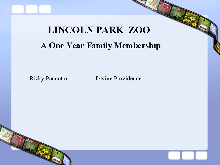 LINCOLN PARK ZOO A One Year Family Membership Ricky Pancotto Divine Providence 