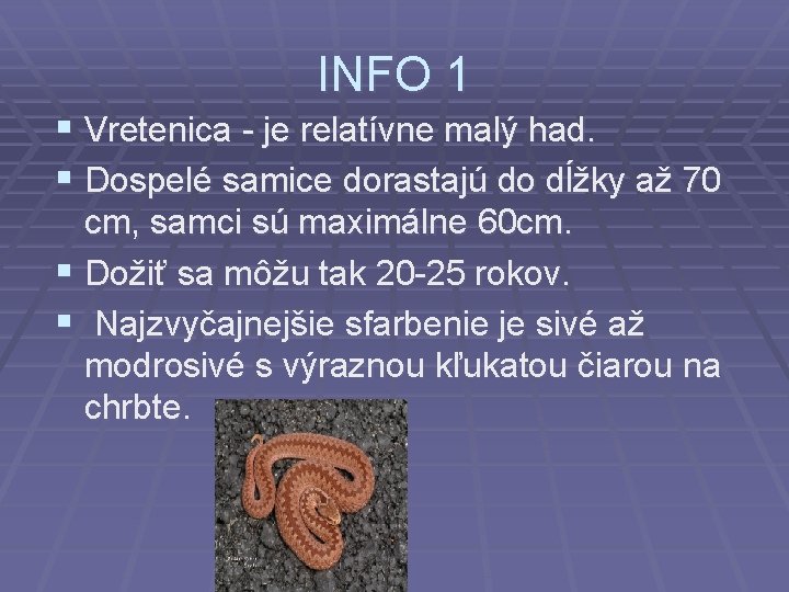 INFO 1 § Vretenica - je relatívne malý had. § Dospelé samice dorastajú do