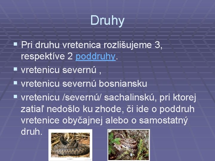 Druhy § Pri druhu vretenica rozlišujeme 3, respektíve 2 poddruhy. § vretenicu severnú ,