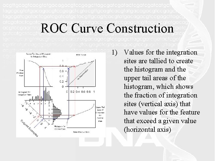 ROC Curve Construction 1) Values for the integration sites are tallied to create the