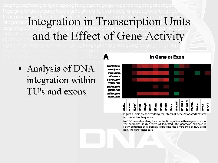 Integration in Transcription Units and the Effect of Gene Activity • Analysis of DNA