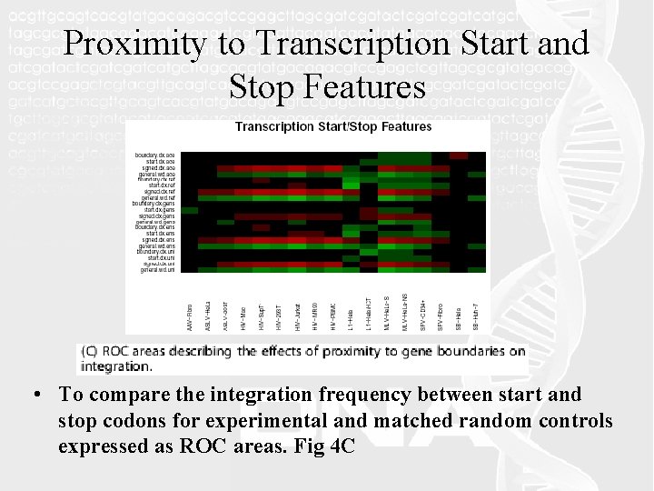 Proximity to Transcription Start and Stop Features • To compare the integration frequency between