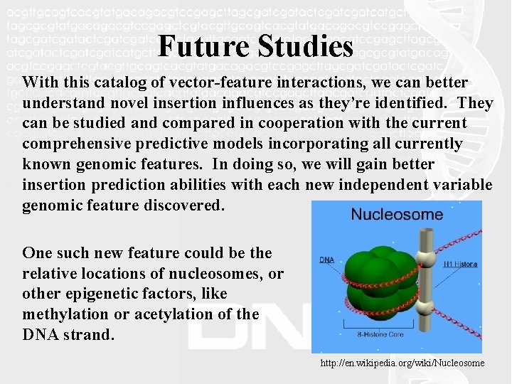Future Studies With this catalog of vector-feature interactions, we can better understand novel insertion
