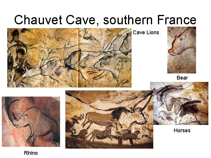 Chauvet Cave, southern France Cave Lions Bear . Rhino Horses 