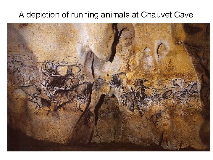 A depiction of running animals at Chauvet Cave 