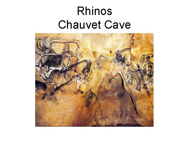 Rhinos Chauvet Cave 