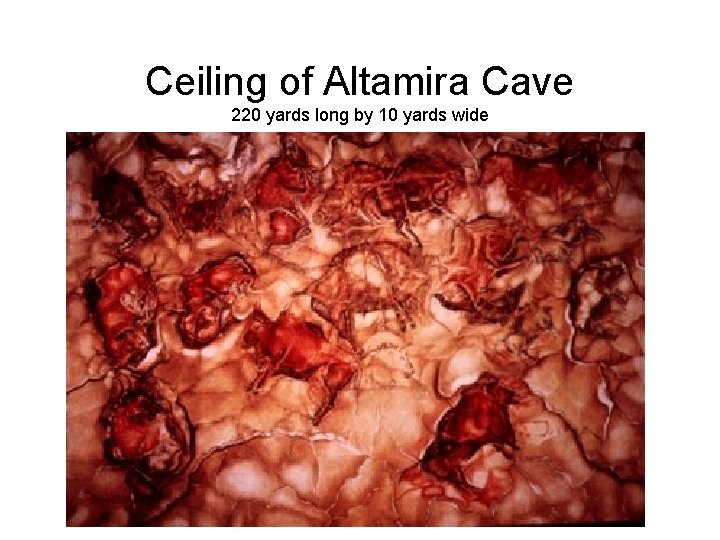Ceiling of Altamira Cave 220 yards long by 10 yards wide 
