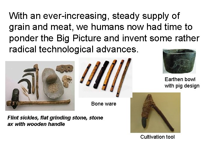 With an ever-increasing, steady supply of grain and meat, we humans now had time