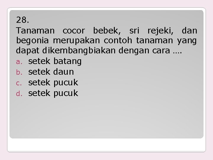 28. Tanaman cocor bebek, sri rejeki, dan begonia merupakan contoh tanaman yang dapat dikembangbiakan