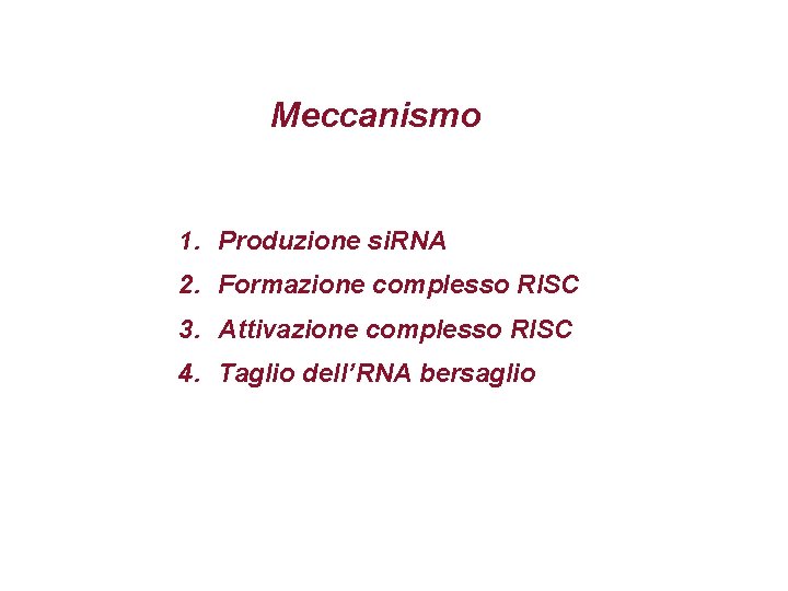 Meccanismo 1. Produzione si. RNA 2. Formazione complesso RISC 3. Attivazione complesso RISC 4.