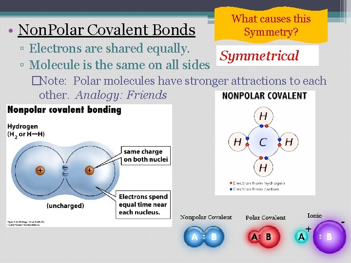 • Non. Polar Covalent Bonds What causes this Symmetry? ▫ Electrons are shared • Non. Polar Covalent Bonds What causes this Symmetry? ▫ Electrons are shared
