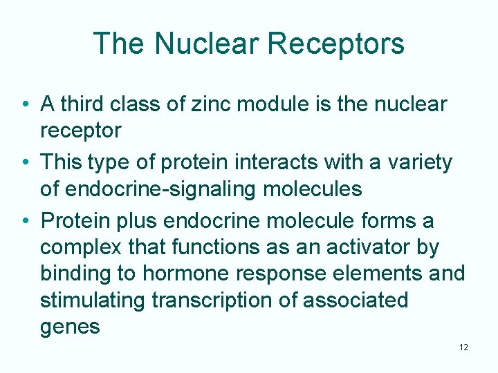 The Nuclear Receptors • A third class of zinc module is the nuclear receptor