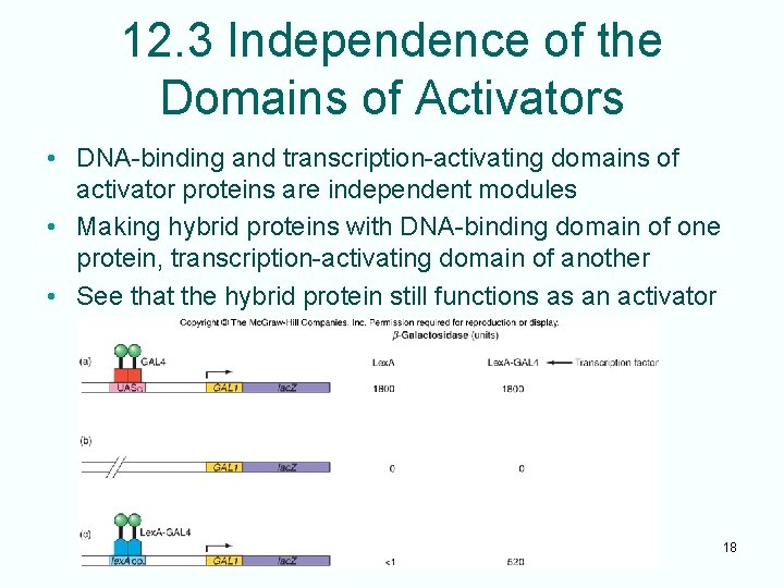 12. 3 Independence of the Domains of Activators • DNA-binding and transcription-activating domains of