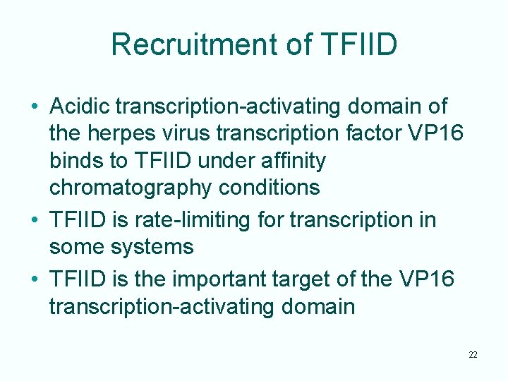 Recruitment of TFIID • Acidic transcription-activating domain of the herpes virus transcription factor VP