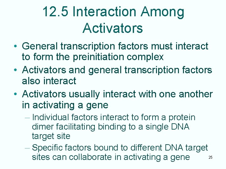 12. 5 Interaction Among Activators • General transcription factors must interact to form the