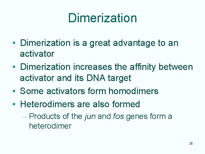 Dimerization • Dimerization is a great advantage to an activator • Dimerization increases the