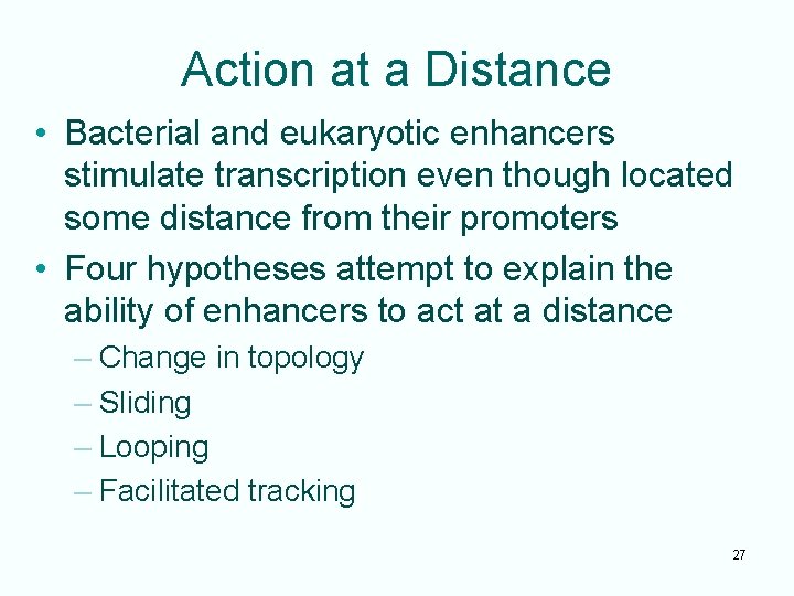 Action at a Distance • Bacterial and eukaryotic enhancers stimulate transcription even though located