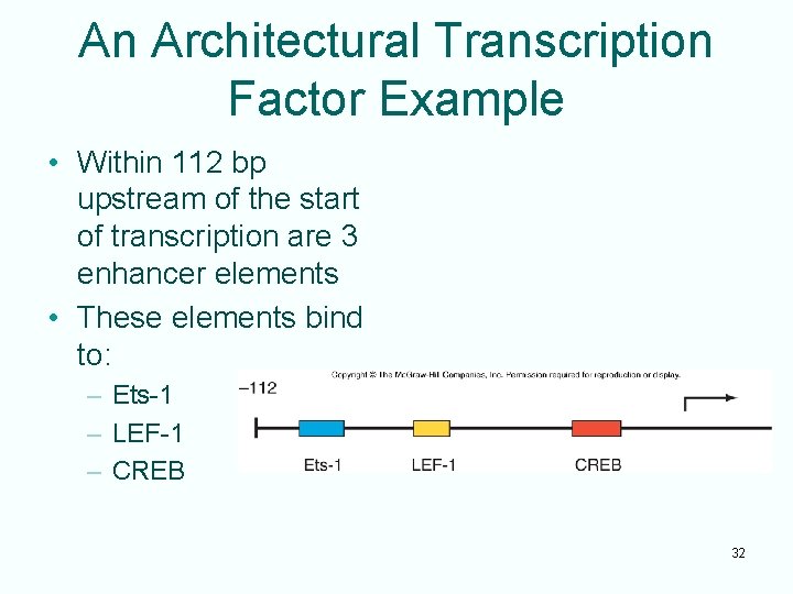 An Architectural Transcription Factor Example • Within 112 bp upstream of the start of