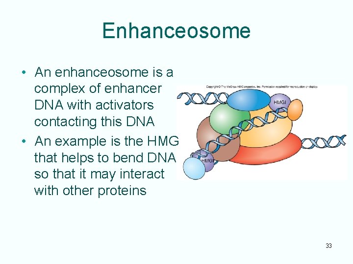 Enhanceosome • An enhanceosome is a complex of enhancer DNA with activators contacting this