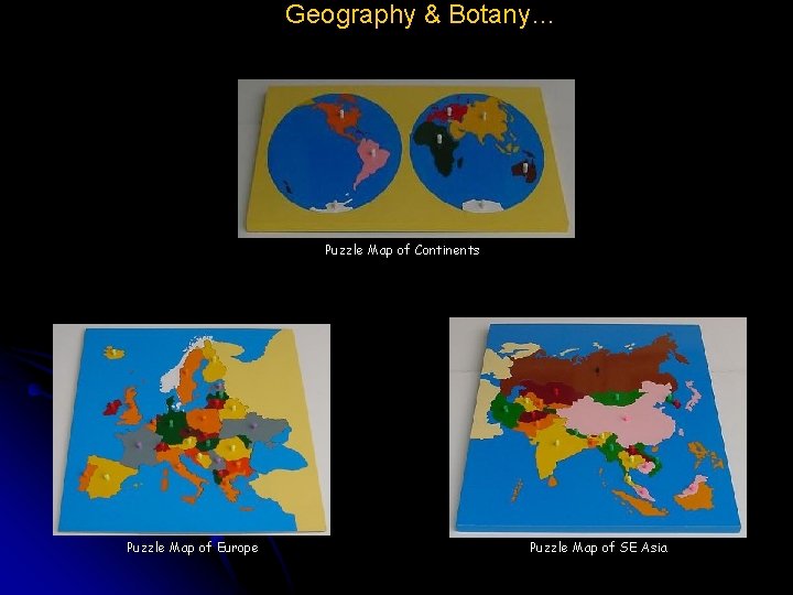 Geography & Botany… Puzzle Map of Continents Puzzle Map of Europe Puzzle Map of