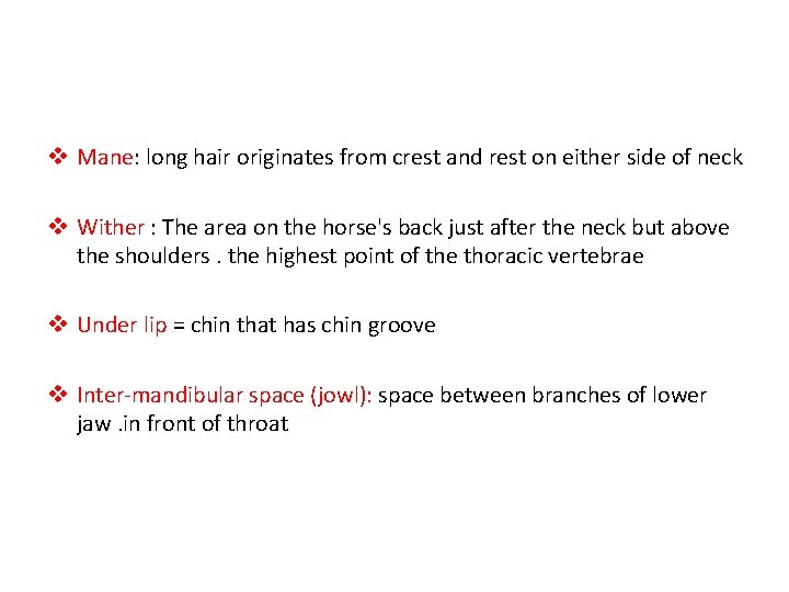 v Mane: long hair originates from crest and rest on either side of neck