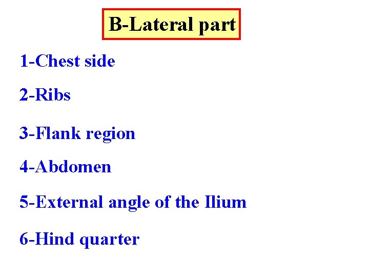 B-Lateral part 1 -Chest side 2 -Ribs 3 -Flank region 4 -Abdomen 5 -External