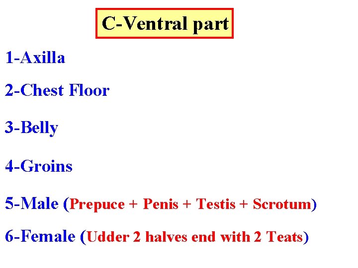 C-Ventral part 1 -Axilla 2 -Chest Floor 3 -Belly 4 -Groins 5 -Male (Prepuce