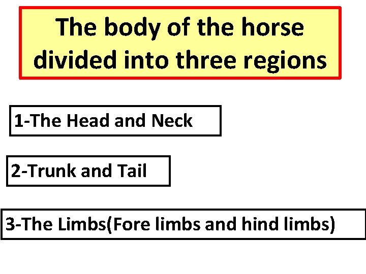 The body of the horse divided into three regions 1 -The Head and Neck