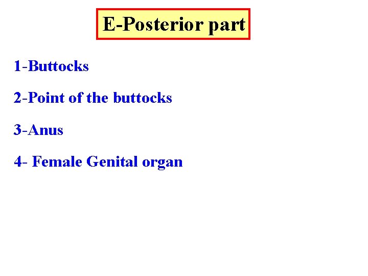 E-Posterior part 1 -Buttocks 2 -Point of the buttocks 3 -Anus 4 - Female