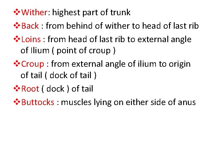 v. Wither: highest part of trunk v. Back : from behind of wither to