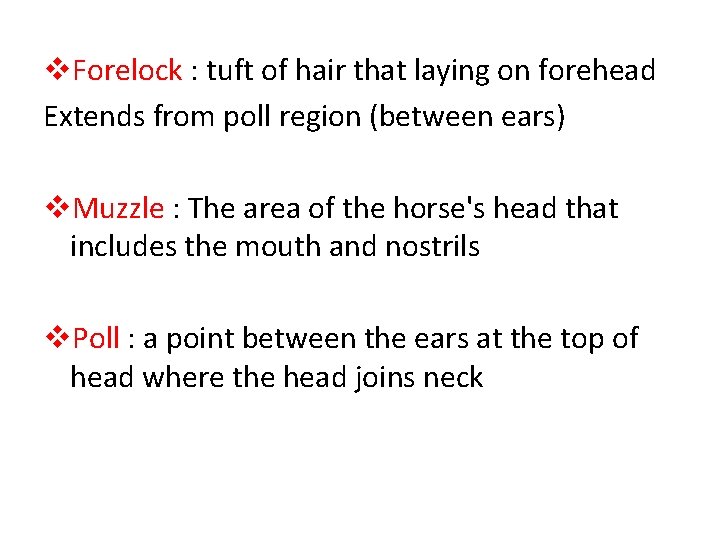 v. Forelock : tuft of hair that laying on forehead Extends from poll region