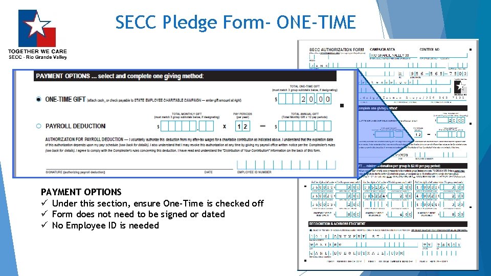 SECC Pledge Form- ONE-TIME PAYMENT OPTIONS ü Under this section, ensure One-Time is checked