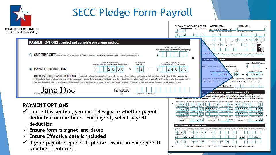 SECC Pledge Form-Payroll Jane Doe PAYMENT OPTIONS ü Under this section, you must designate