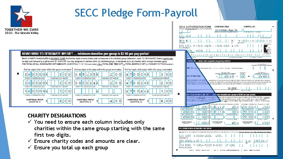 SECC Pledge Form-Payroll CHARITY DESIGNATIONS ü You need to ensure each column includes only