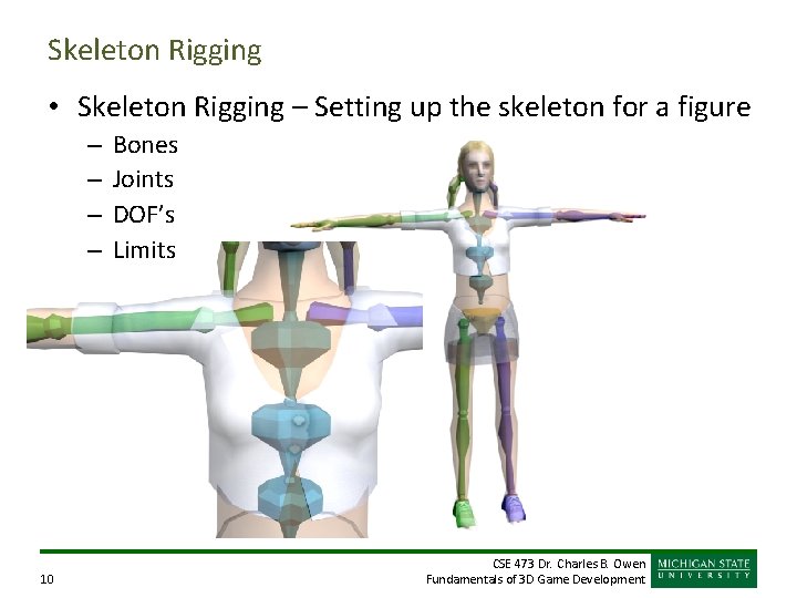 Skeleton Rigging • Skeleton Rigging – Setting up the skeleton for a figure –