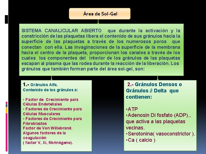 Área de Sol-Gel SISTEMA CANALICULAR ABIERTO que durante la activación y la constricción de