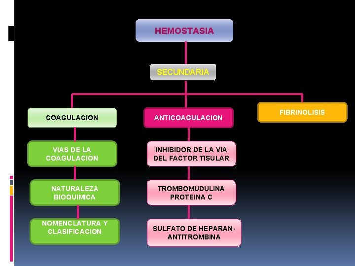 HEMOSTASIA SECUNDARIA COAGULACION ANTICOAGULACION VIAS DE LA COAGULACION INHIBIDOR DE LA VIA DEL FACTOR