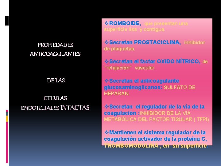 v. ROMBOIDE, que presentan una superficie lisa y contigua. PROPIEDADES ANTICOAGULANTES v. Secretan PROSTACICLINA,