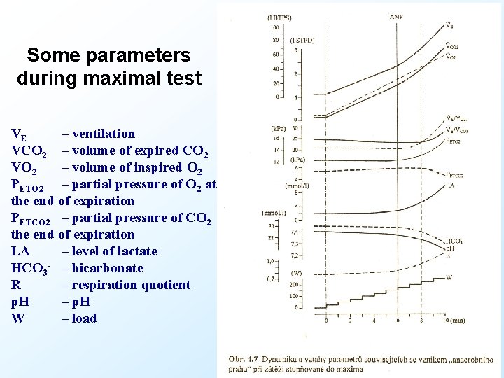 Some parameters during maximal test VE – ventilation VCO 2 – volume of expired