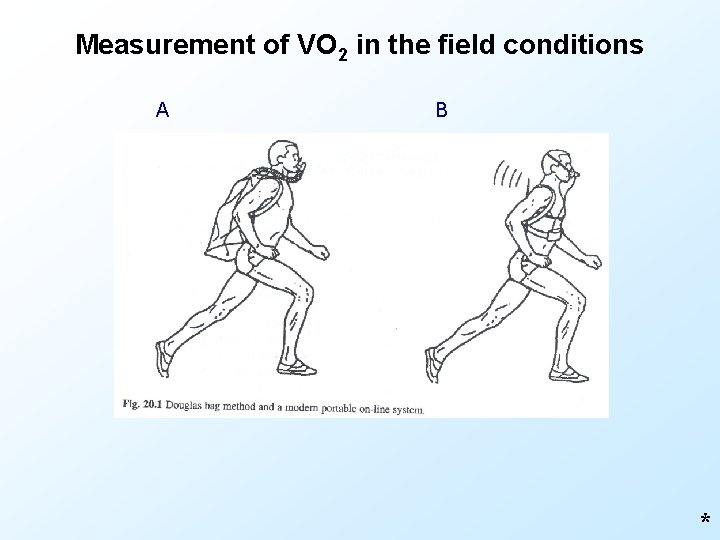 Measurement of VO 2 in the field conditions A B * 