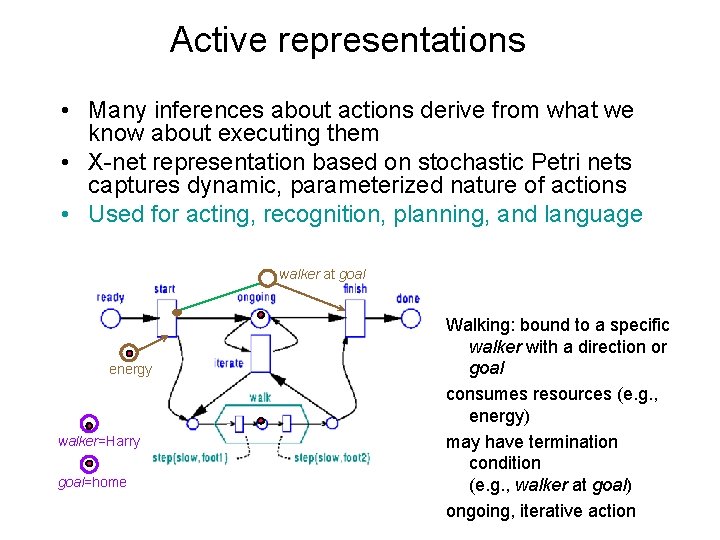 Active representations • Many inferences about actions derive from what we know about executing