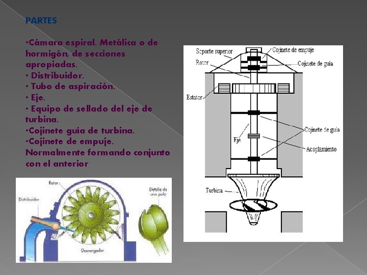 PARTES • Cámara espiral. Metálica o de hormigón, de secciones apropiadas. • Distribuidor. •