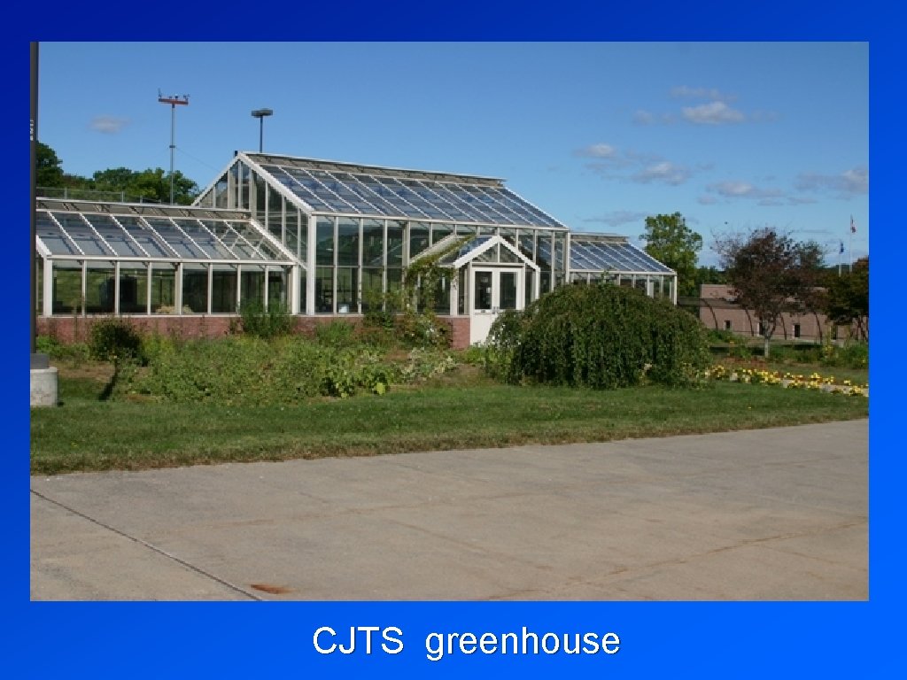 CJTS greenhouse 